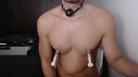 David online show from 26, 2, 2025