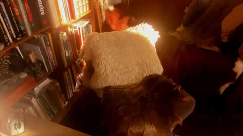 David online show from 15, 1, 2025