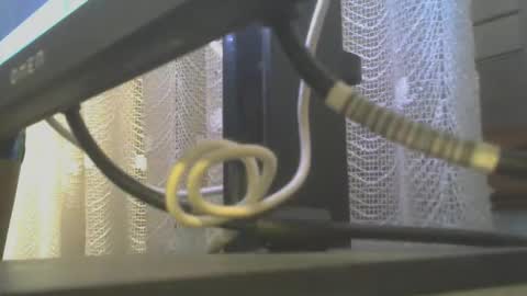 davidmax245 online show from 12, 1, 2026