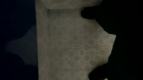 Snapshot of davzsoher chatting on 6, 1, 2025 davzsoher online show from 6, 1, 2025