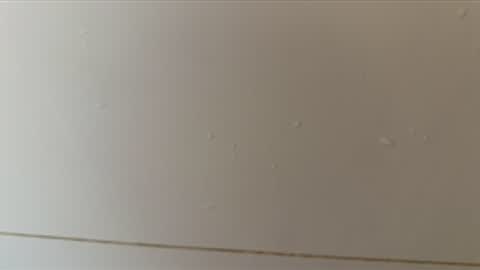 Snapshot of daxie002 chatting on 16, 5, 2026 Hornybear online show from 16, 5, 2026