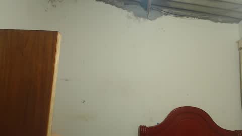 Dylon online show from 9, 11, 2025