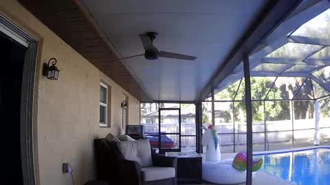 Snapshot of dazeydo chatting on 7, 1, 2026 Dazey online show from 7, 1, 2026