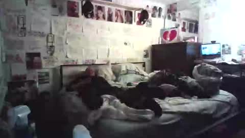 dbeamon92 online show from 7, 2, 2026