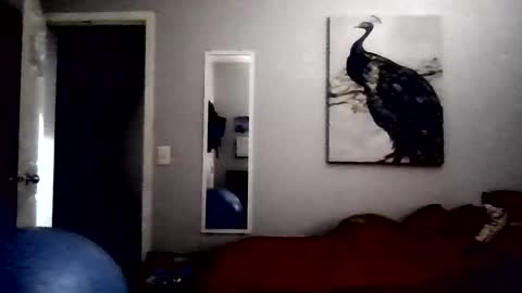 Snapshot of dcoester chatting on 23, 5, 2026 dcoester online show from 23, 5, 2026