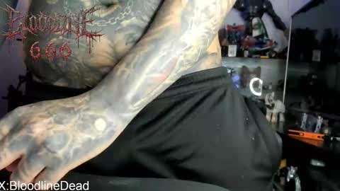    online show from 28, 3, 2026