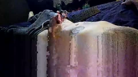 decoyx5o5 online show from 1, 1, 2025