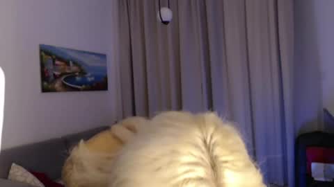 Jenna online show from 6, 7, 2026