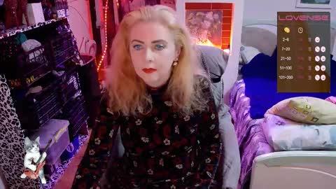 Delicacat online show from 17, 10, 2025
