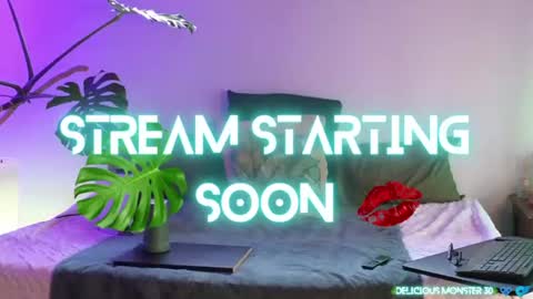 Kitty online show from 6, 7, 2026