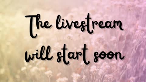 DeLite  Next stream on Wednesday or Thurdsay  online show from 12, 3, 2025