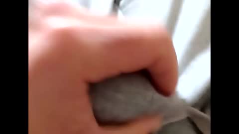 deliv_shopi online show from 8, 1, 2026