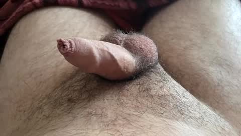 Snapshot of denis647 chatting on 16, 11, 2025 LilRoach online show from 16, 11, 2025