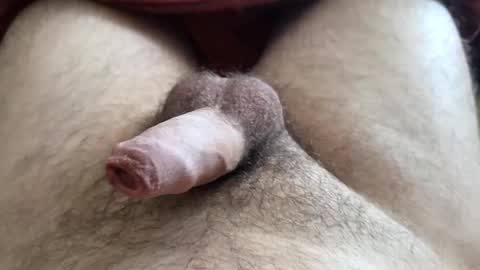 Snapshot of denis647 chatting on 1, 12, 2025 LilRoach online show from 1, 12, 2025