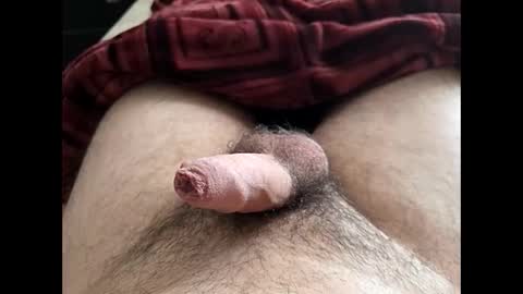 Snapshot of denis647 chatting on 10, 2, 2026 LilRoach online show from 10, 2, 2026