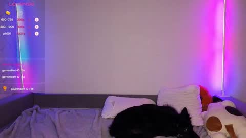 Den online show from 4, 12, 2025