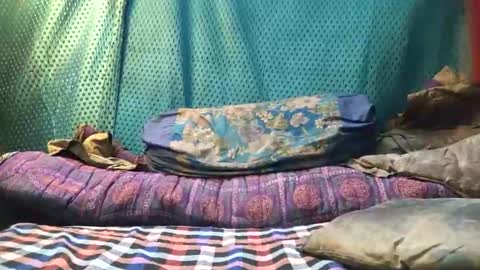 desi_boy799417 online show from 23, 3, 2026