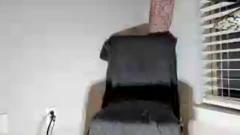 Snapshot of dextercollins chatting on 27, 6, 2026 Dextercollins online show from 27, 6, 2026