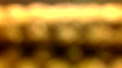 Marcus D-von Steel as the raunchy ass sniffer thrill me with your online show from 11, 4, 2026