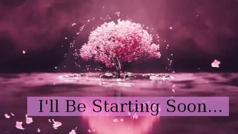 Daphne Sophia Vega online show from 3, 4, 2026