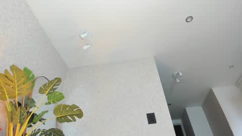 Snapshot of dianac1998 chatting on 5, 1, 2026 dianac1998 online show from 5, 1, 2026