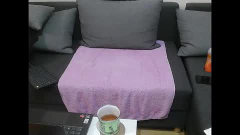 Snapshot of dickstaza chatting on 17, 1, 2026 dickstaza online show from 17, 1, 2026