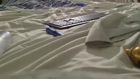 dildosnme22 online show from 5, 6, 2026