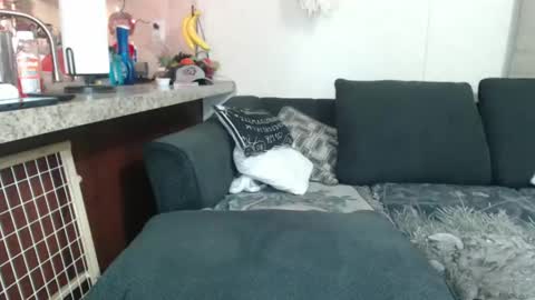 Sofie online show from 23, 12, 2024