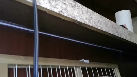 Sofie online show from 28, 2, 2025