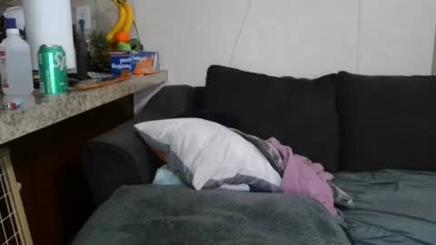 Sofie online show from 7, 11, 2025