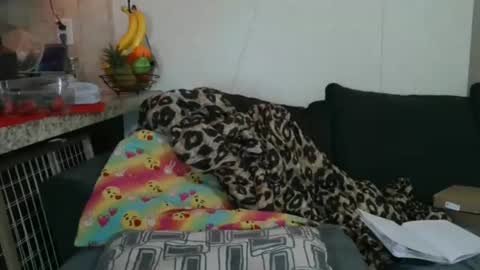 Sofie online show from 25, 11, 2025