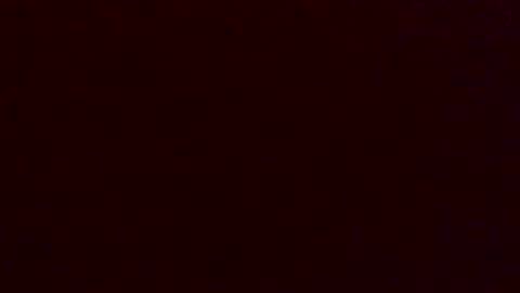 Dingler online show from 14, 12, 2025