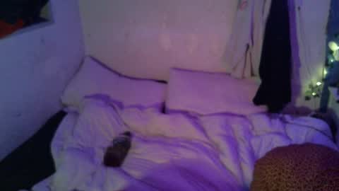 Thomas OMalley online show from 16, 4, 2026