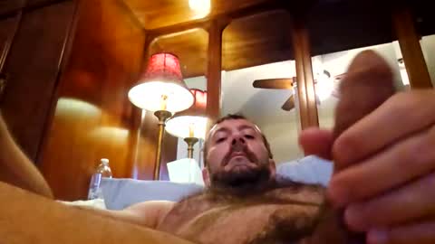 DIPSTIK online show from 14, 2, 2026