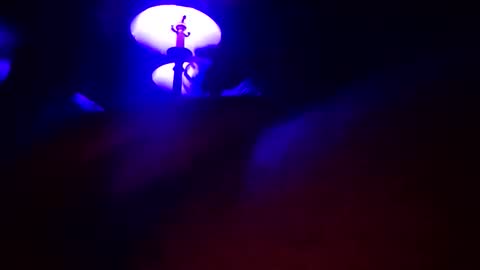 DIPSTIK online show from 15, 4, 2026