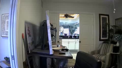 Snapshot of dirkpitt223 chatting on 3, 1, 2025 DirtkPitt Fun guy working online show from 3, 1, 2025