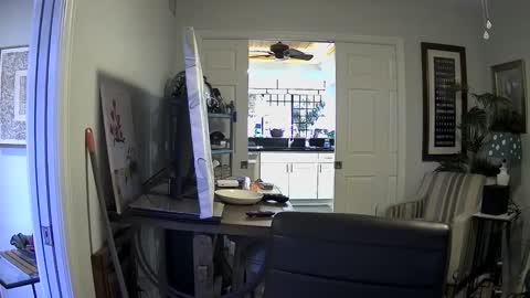 Snapshot of dirkpitt223 chatting on 3, 1, 2025 DirtkPitt Fun guy working online show from 3, 1, 2025