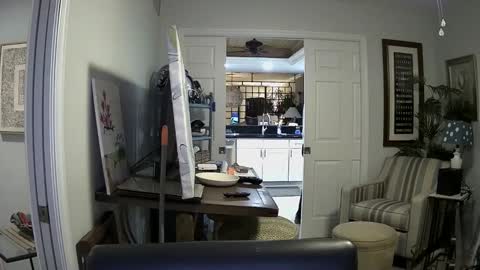 Snapshot of dirkpitt223 chatting on 4, 1, 2025 DirtkPitt Fun guy working online show from 4, 1, 2025