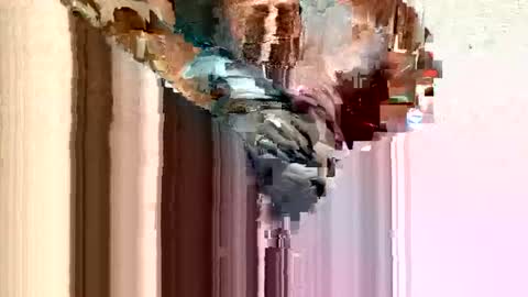 Snapshot of dirtmcgirt82 chatting on 11, 2, 2025 dirtmcgirt82 online show from 11, 2, 2025