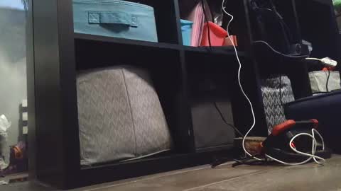 Snapshot of dirtydaisy1998 chatting on 27, 12, 2024 Daisy Wylde online show from 27, 12, 2024