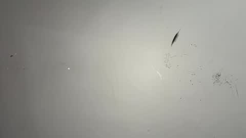 Snapshot of dixkzilla chatting on 20, 2, 2026 dixkzilla online show from 20, 2, 2026