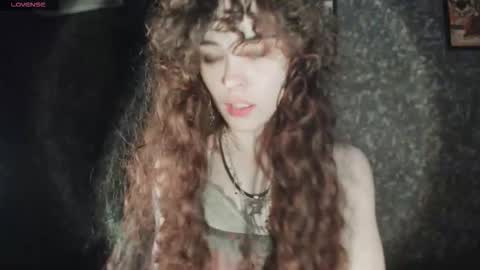 Dizer online show from 26, 11, 2025