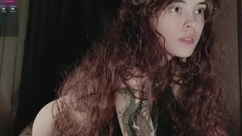 Dizer online show from 31, 1, 2026