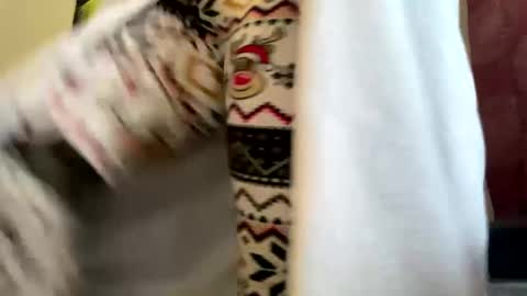 Snapshot of dizzinsweatyy chatting on 10, 3, 2025 dizzinsweatyy online show from 10, 3, 2025