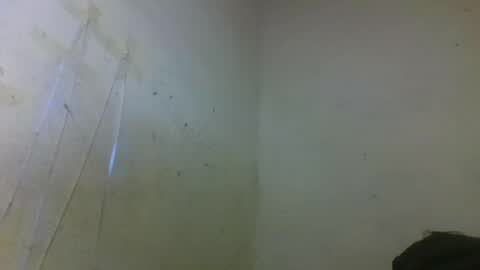 Snapshot of djami534591 chatting on 17, 11, 2025 djami534591 online show from 17, 11, 2025