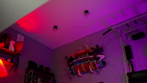 Snapshot of dl_raven chatting on 2, 3, 2025 Silverhand online show from 2, 3, 2025