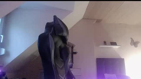 doggy2629 online show from 6, 1, 2026