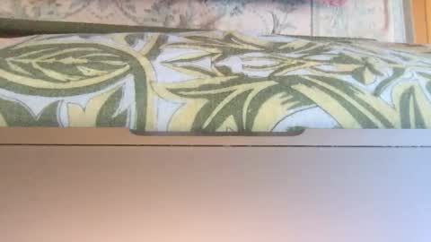 Snapshot of doggy707 chatting on 14, 1, 2026 Theprinceofdarkness online show from 14, 1, 2026