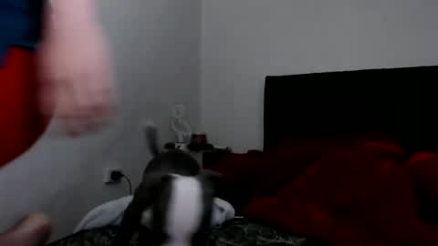 Catherine XXX online show from 8, 2, 2025