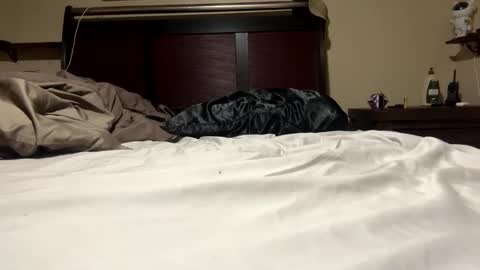 Snapshot of dolphin22356 chatting on 11, 1, 2025 Ben Dover online show from 11, 1, 2025